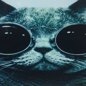 Meet your Posher, Robert